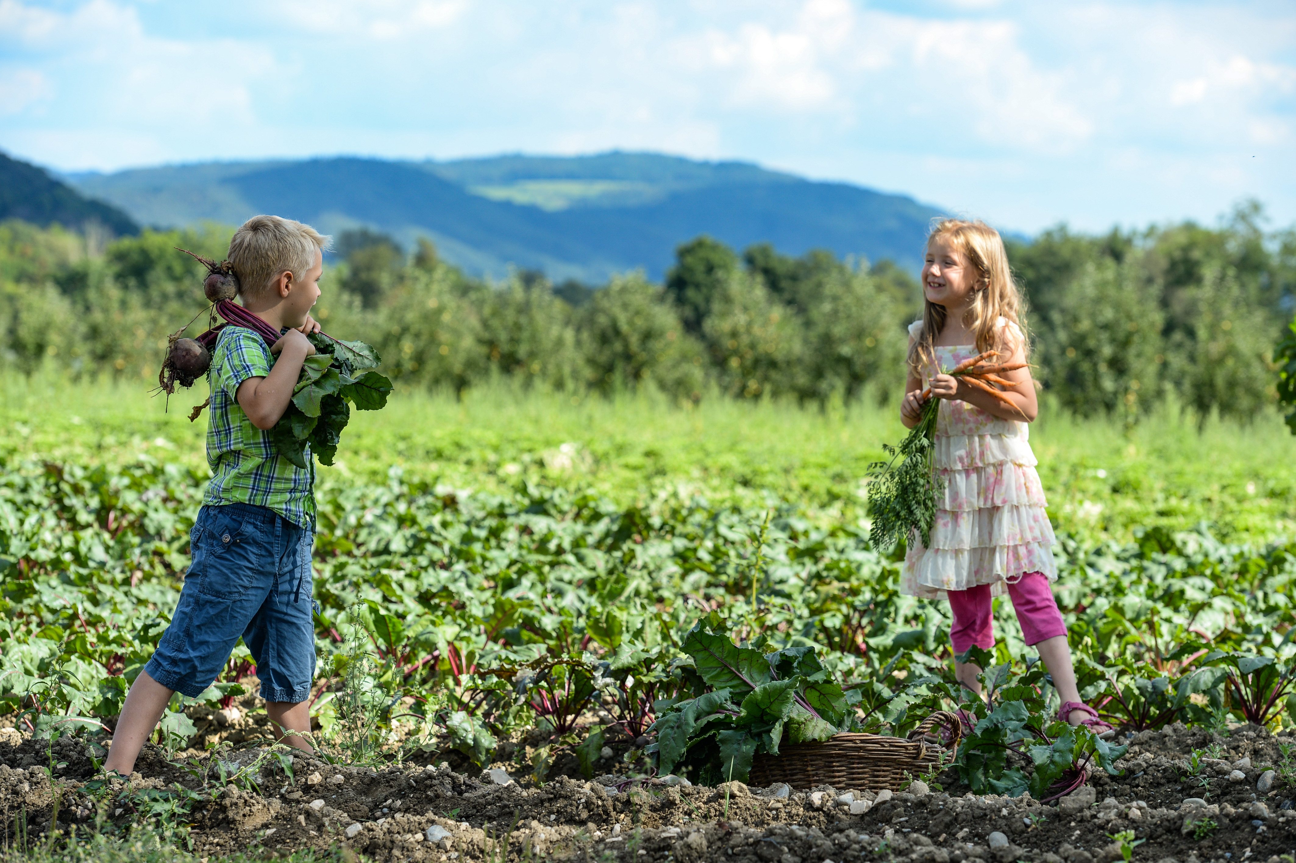 Anbauprojekt für Kinder